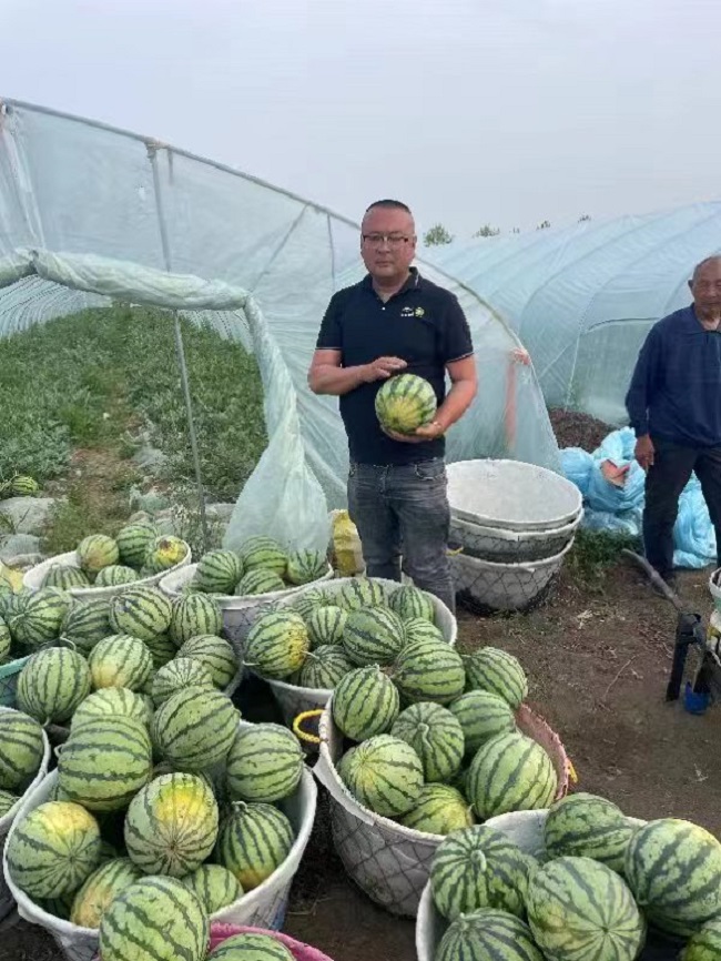 微信图片_20230831095442.jpg 微信图片_20230831095442.jpg