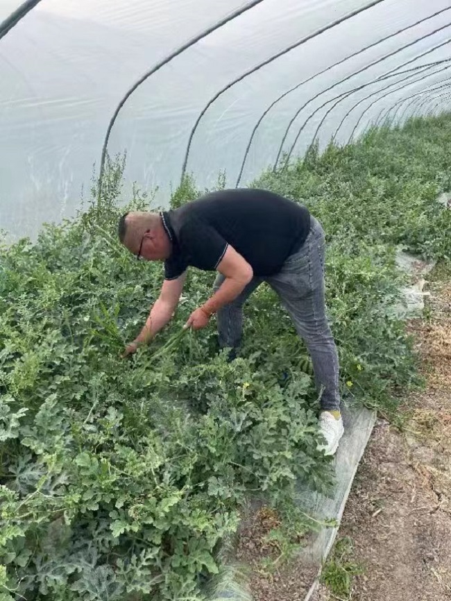 微信图片_20230831095449.jpg 微信图片_20230831095449.jpg