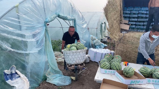 微信图片_20230831095502.jpg 微信图片_20230831095502.jpg