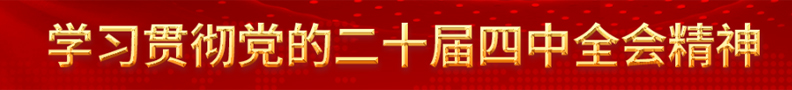 学习贯彻党的二十届四中全会精神