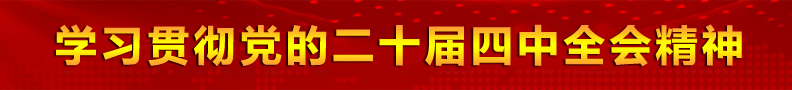 学习贯彻党的二十届四中全会精神